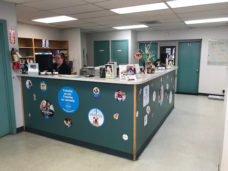 VCA Benicia Animal Hospital photo 2