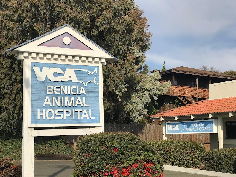 VCA Benicia Animal Hospital photo 3