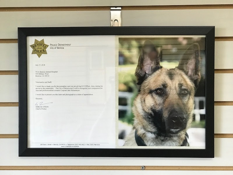 VCA Benicia Animal Hospital photo 5