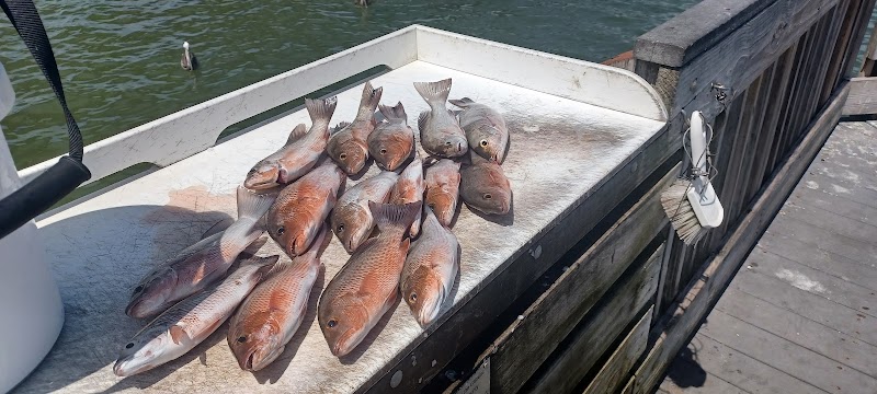 Capt Evan Denis Charters photo 4
