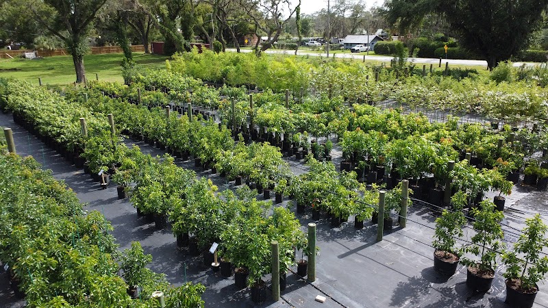 Photo of Jolly Green Nursery