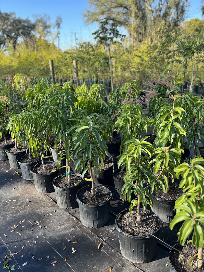Jolly Green Nursery photo 5