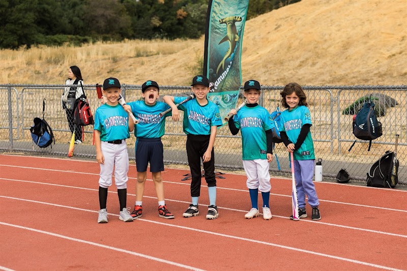 BashBall - Walnut Creek photo 2