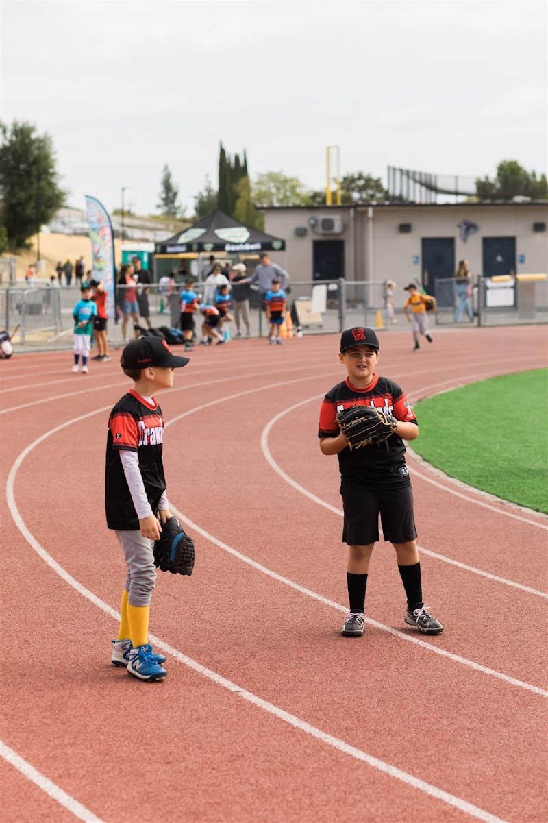 BashBall - Walnut Creek photo 3