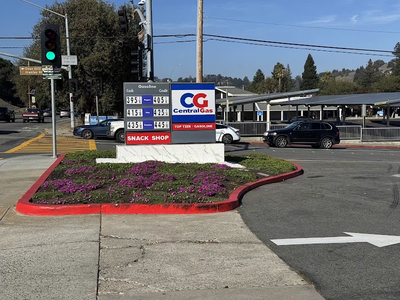 Central Gas photo 2