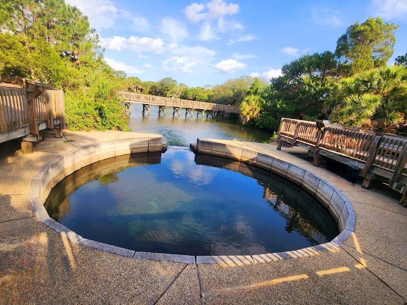 Photo of Wall Springs Park