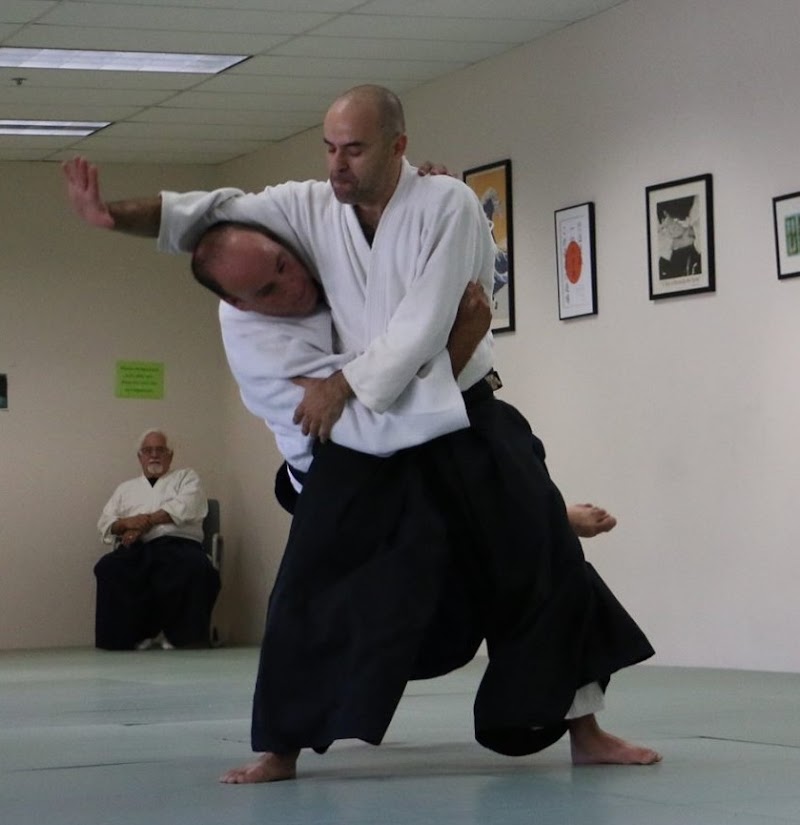 Aikido of Alamo photo 4