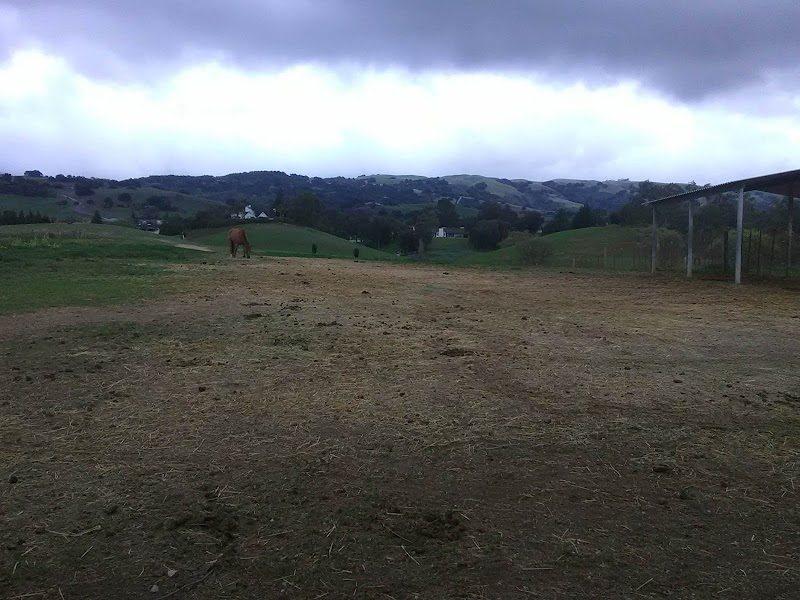 Red Fox Farm photo 5