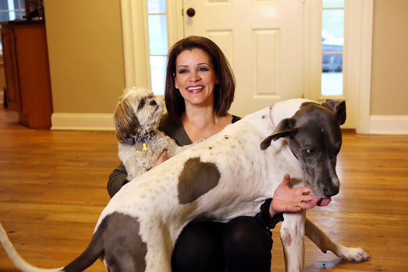 Photo of Pet Sitter Springhill