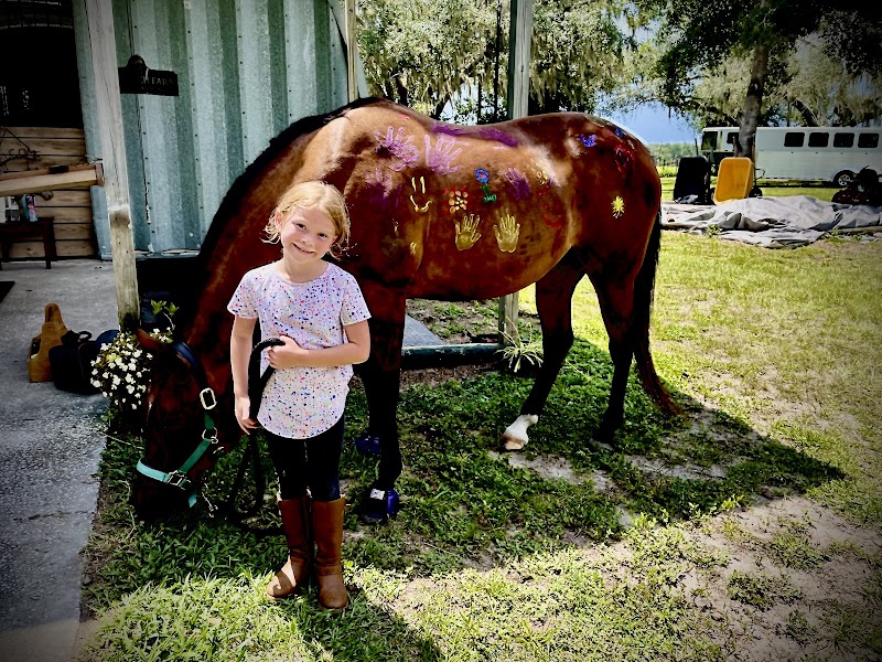 Far Reach Farm photo 2