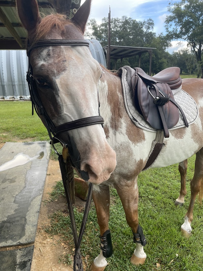 Far Reach Farm photo 5