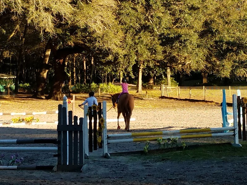 Far Reach Farm photo 3