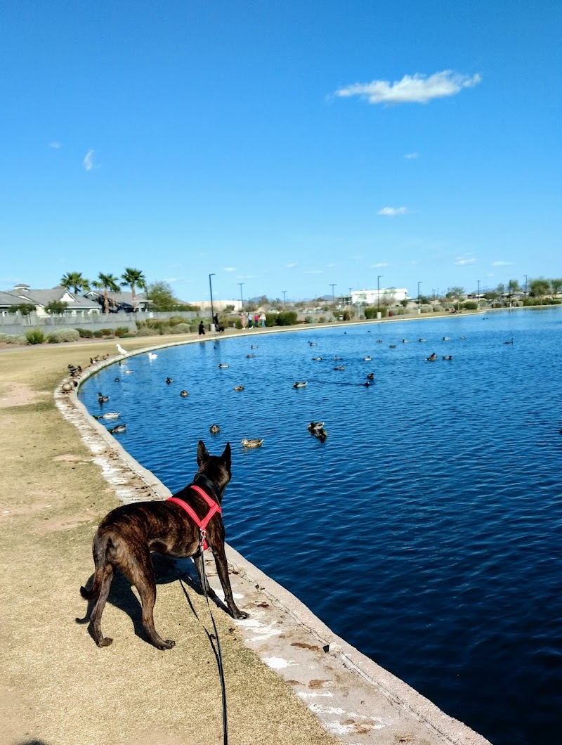 Pioneer Community Park: Dog Park photo 5