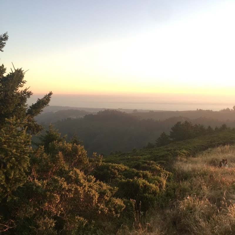 Kastl Rock Ranch photo 3