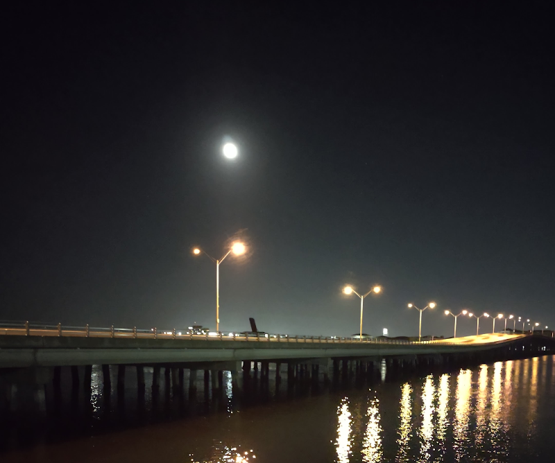 Palmetto City Fishing Pier photo 5