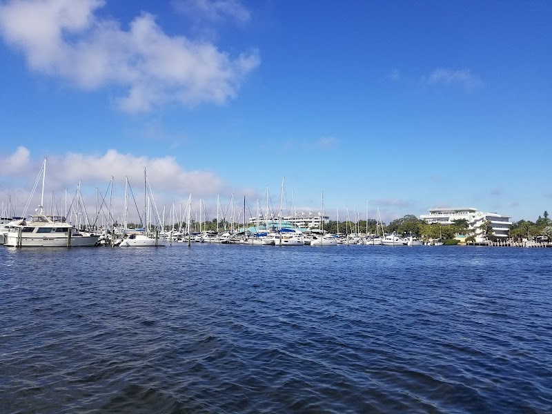Palmetto City Fishing Pier photo 4