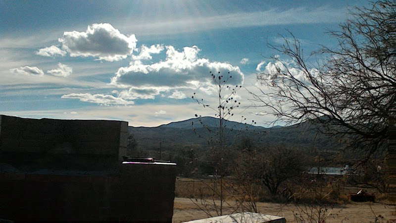 Photo of Sleeping Frog Farms