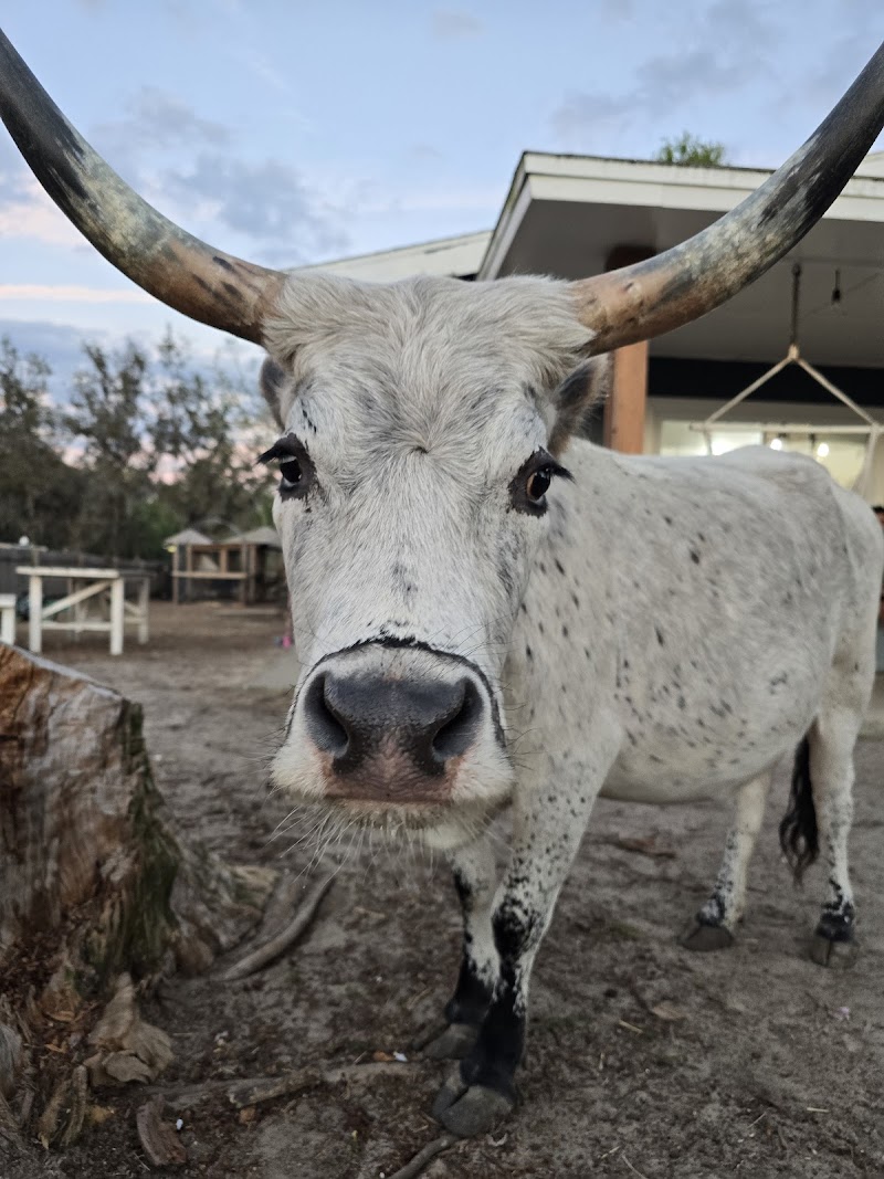 Florida Farm School & Animal Rescue photo 5
