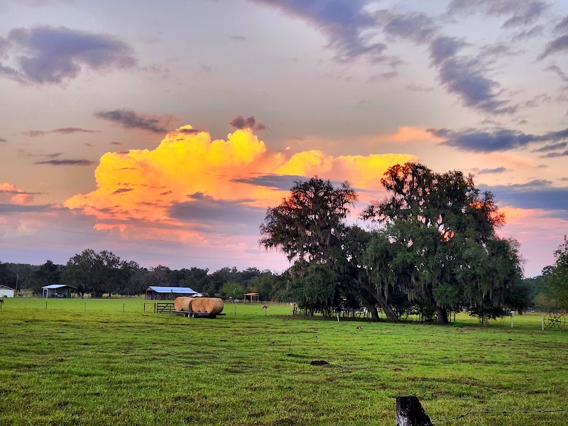 Photo of Florida Farm School & Animal Rescue