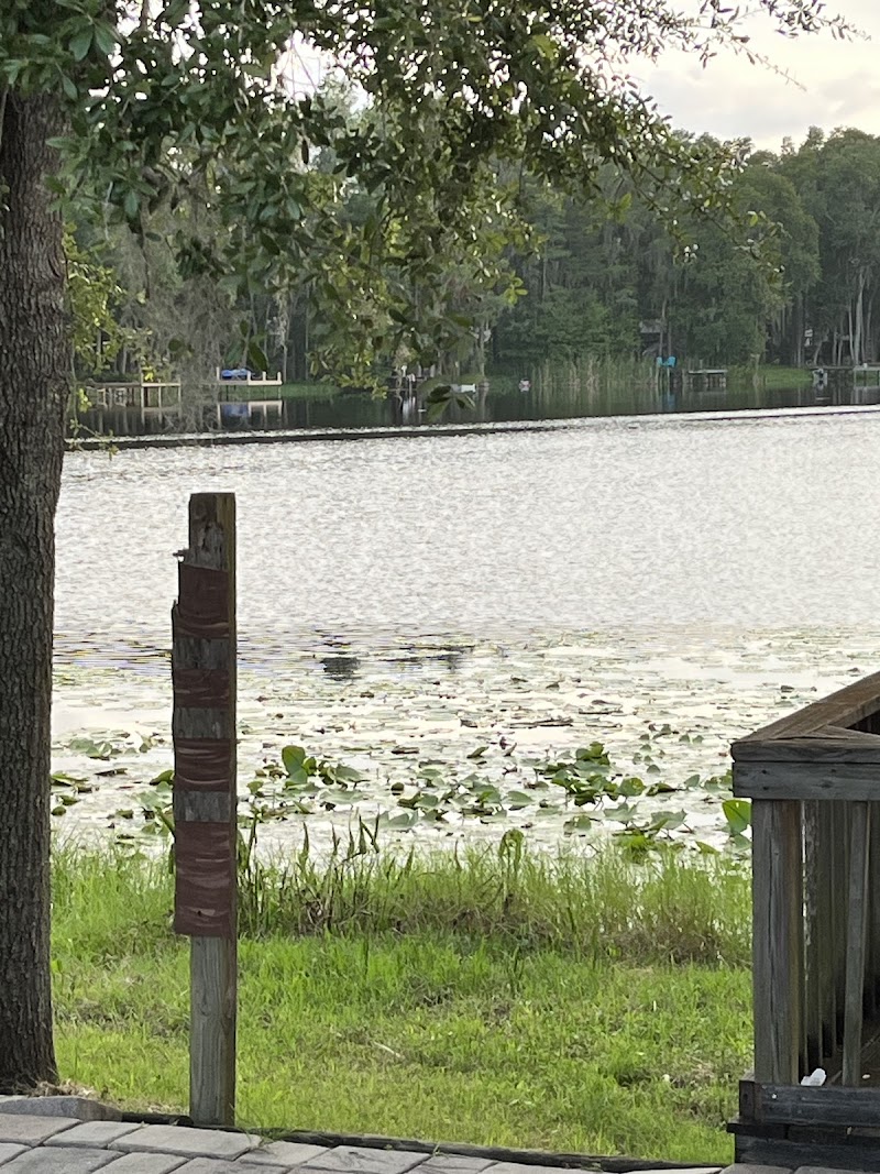 Photo of Land O Lakes Blvd & Hale Rd (Southbound)