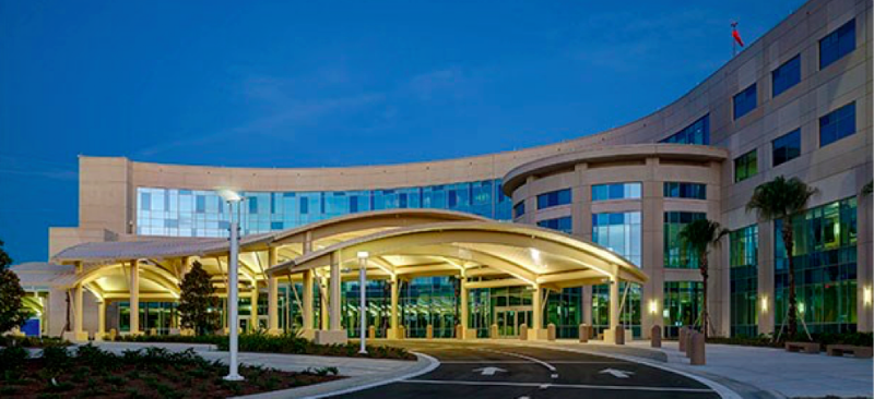 Orthopaedic Medical Group of Tampa Bay photo 2