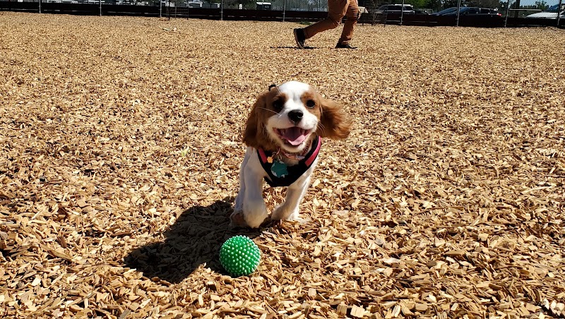 Centennial Dog Park photo 3