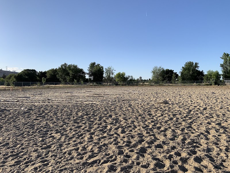 Centennial Dog Park photo 4