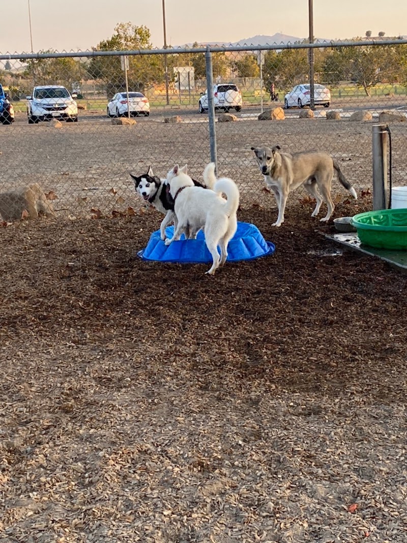 Centennial Dog Park photo 2