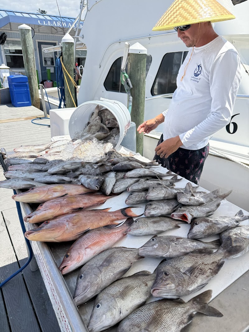 Gulfstream Fishing Charters photo 3