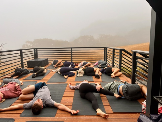 Soul Yoga and Wellness photo 3