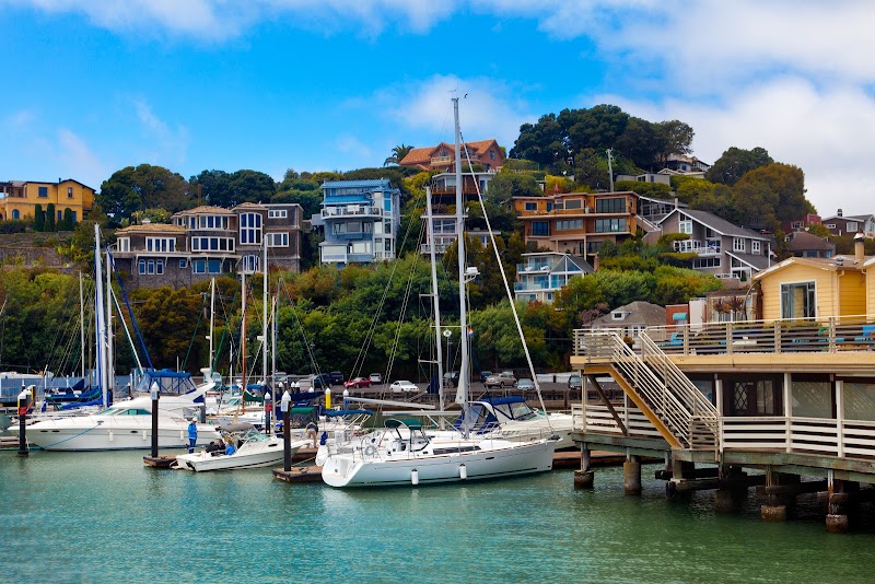 Sharon Kramlich | Compass | Mill Valley & Marin Real Estate photo 2