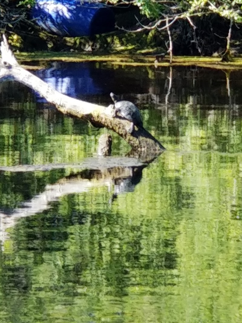 Hudson Grotto photo 4