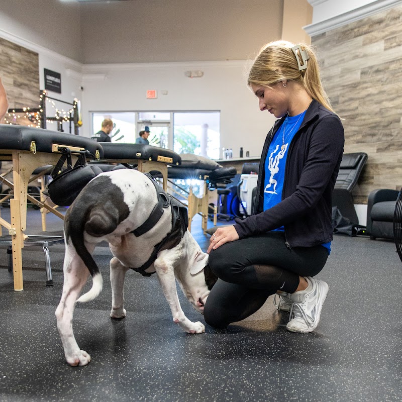 Apex Physical Therapy photo 2