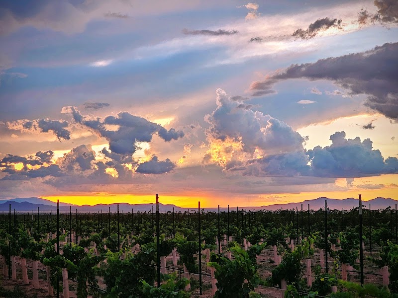 Photo of Skyhaven Vineyards and Winery
