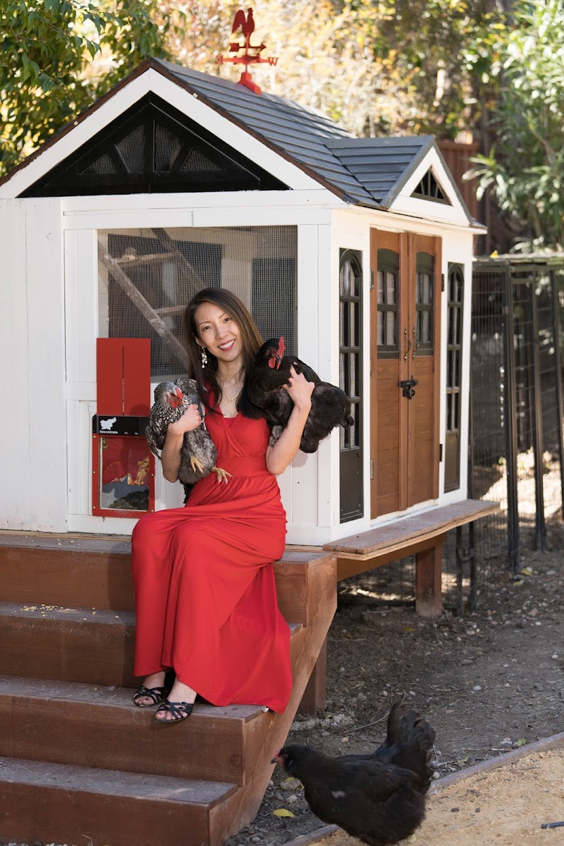 Photo of Compass – Judy Sin