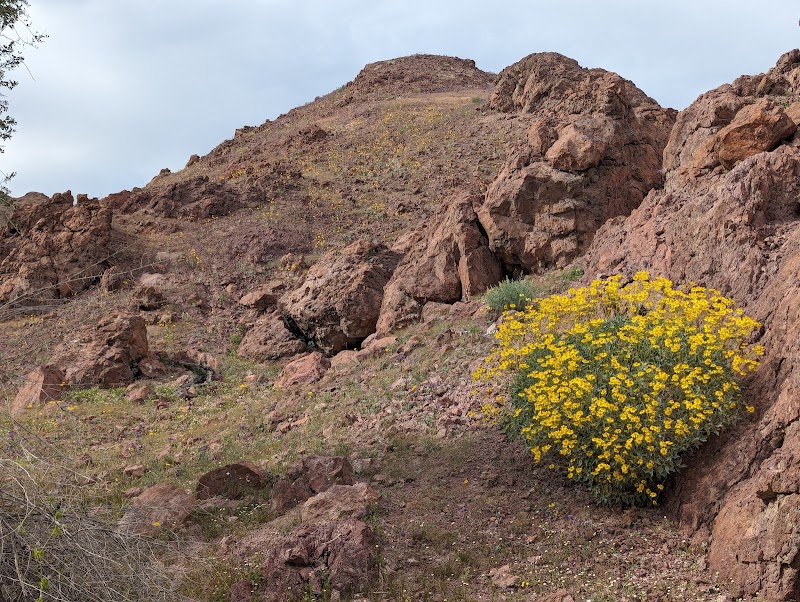 Imperial National Wildlife Refuge photo 4