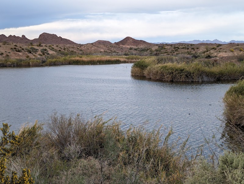 Photo of Imperial National Wildlife Refuge