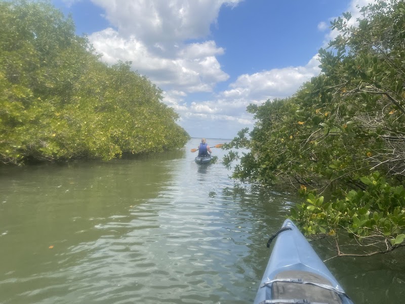 Photo of Tocobaga Tours Kayak and Paddleboard Rentals