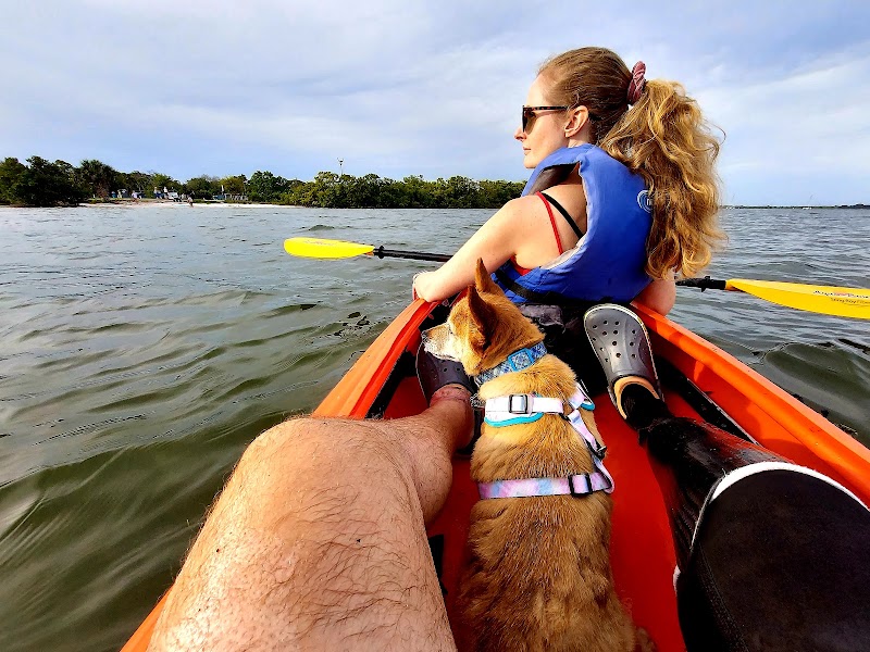 Tocobaga Tours Kayak and Paddleboard Rentals photo 3