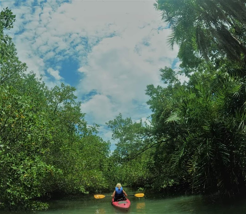 Tocobaga Tours Kayak and Paddleboard Rentals photo 5