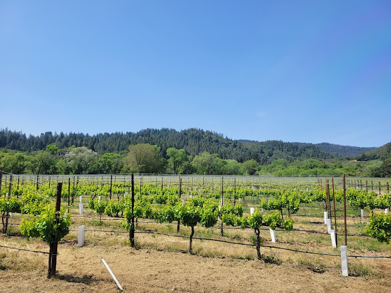 Amista Vineyards photo 2
