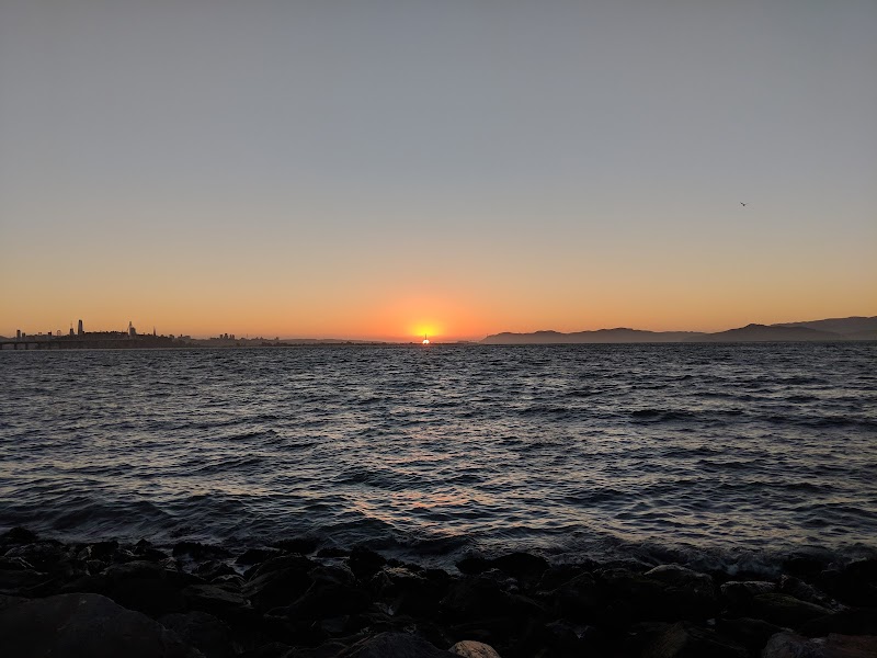 Safe Harbor Emeryville photo 5