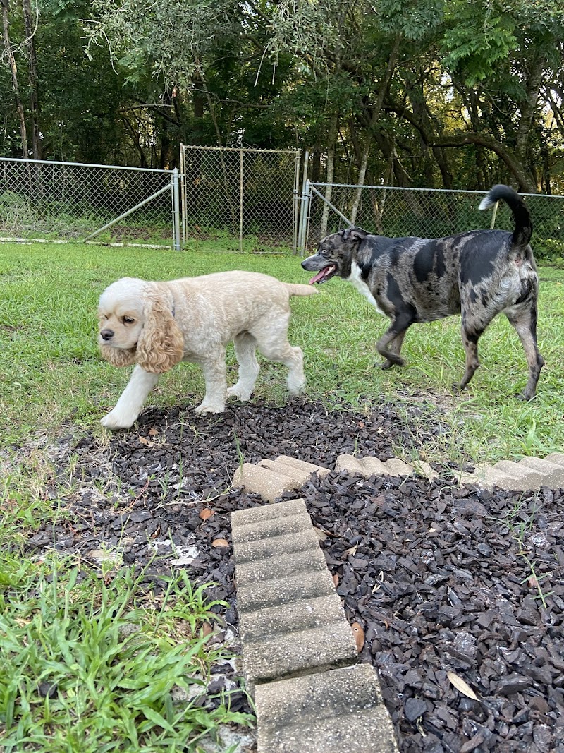 Country Paws Farm photo 5