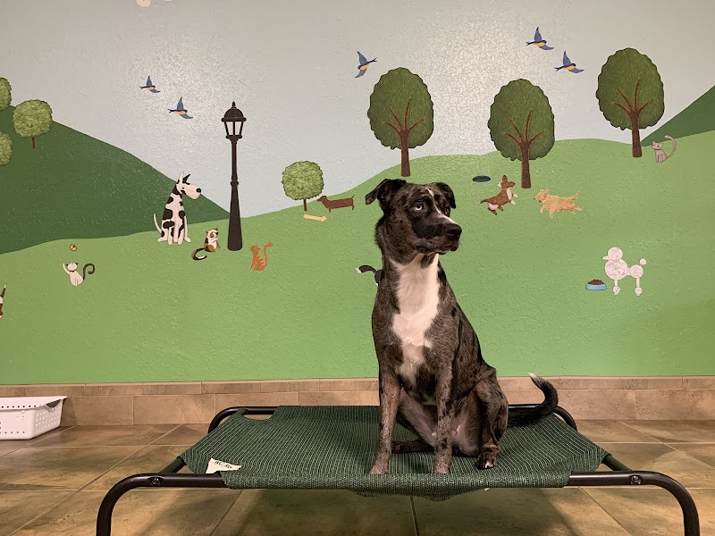 Photo of Country Paws Farm