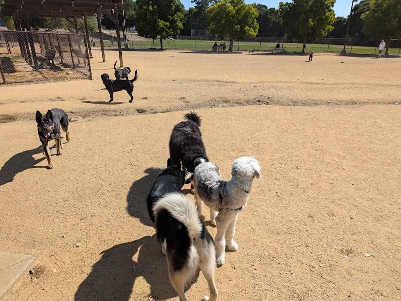Cipriani Dog Park photo 2