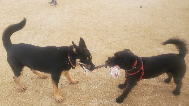 Cipriani Dog Park photo 3