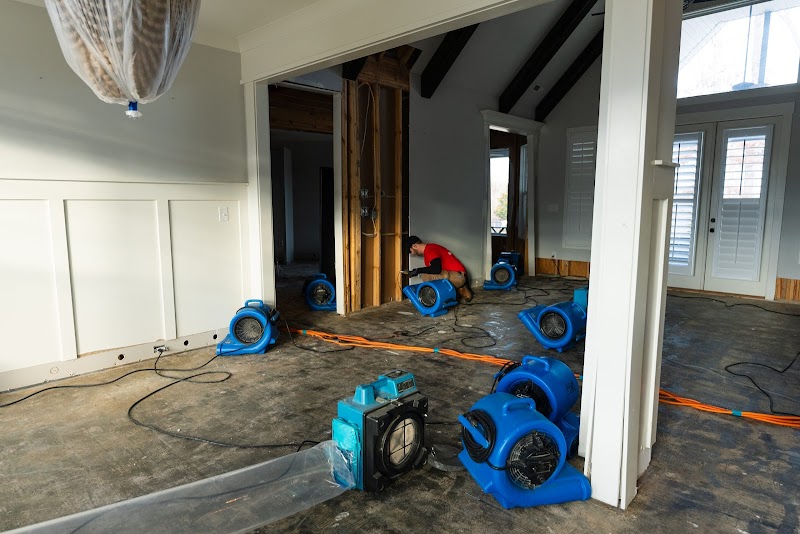Photo of All Dry Service of the East Bay