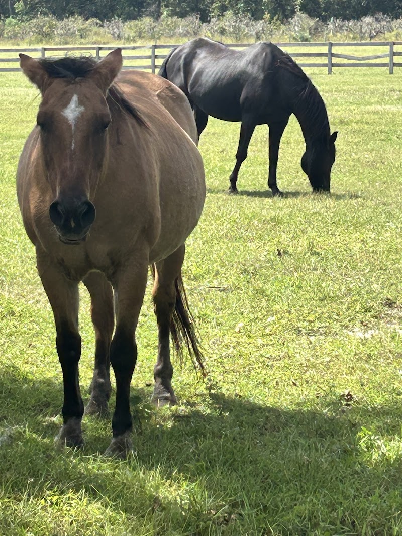 Marabella Ranch photo 2