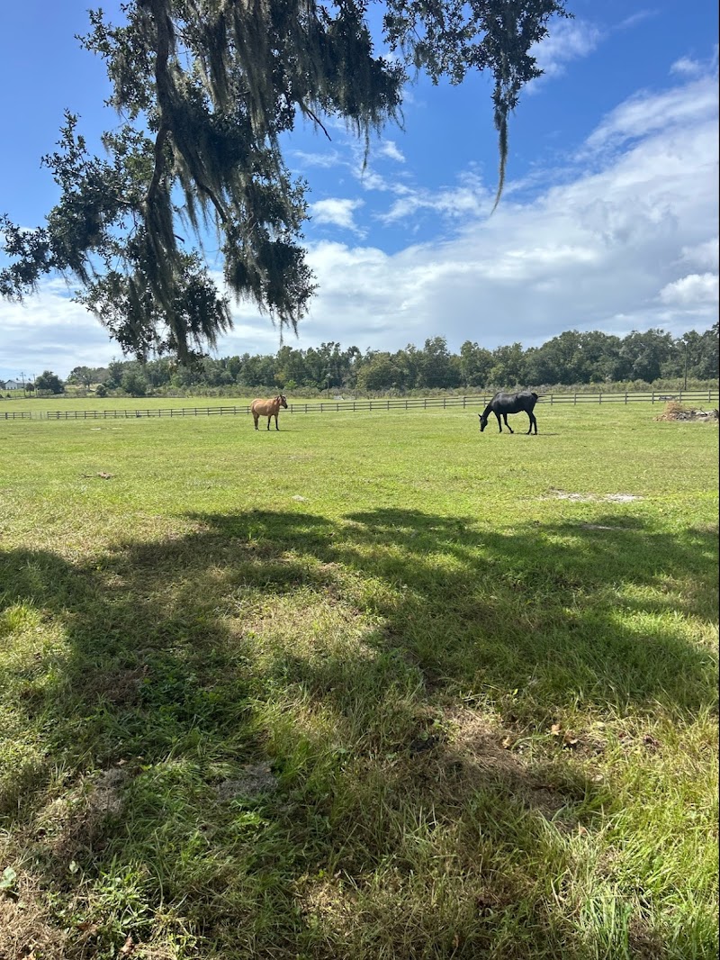 Marabella Ranch photo 3