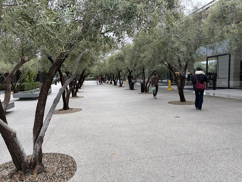 Apple Park Parking Lot photo 4